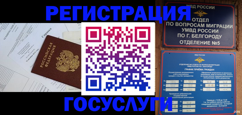 временная прописка в Алейске